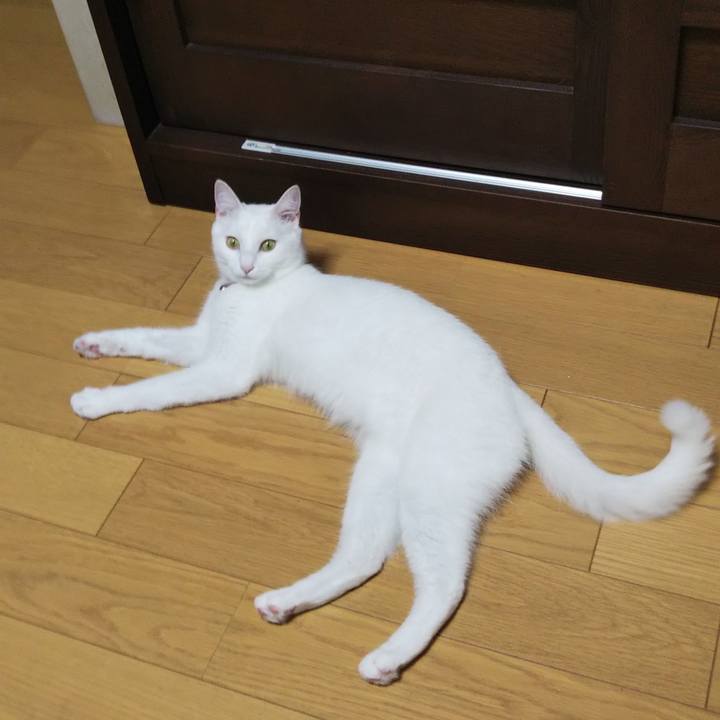 6c4154f6 b57e 4833 b43e ac48d6c05ae4 1626819103514