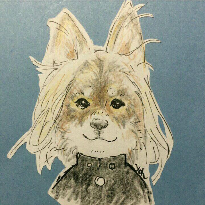 6c418b9c 28d3 40f4 b349 7747a321d1d6 1508570459158