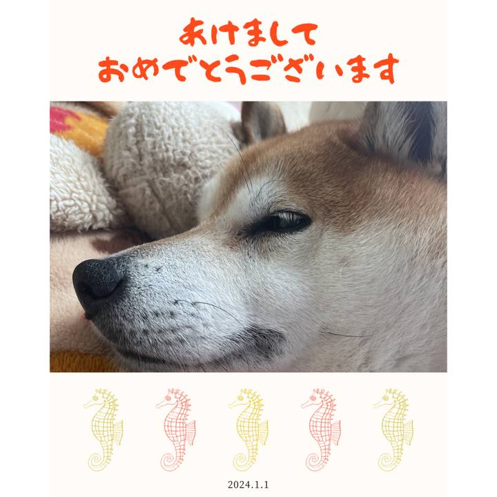 6c419007 7658 491c 9ecf d751d3177981 1704181521396