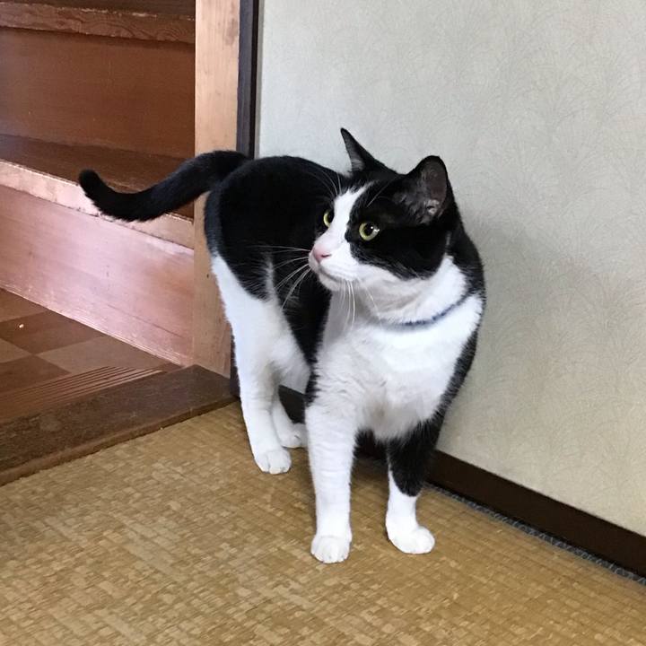 6c41d510 d6c0 4b33 909a ad679fe9d31c 1752479574054