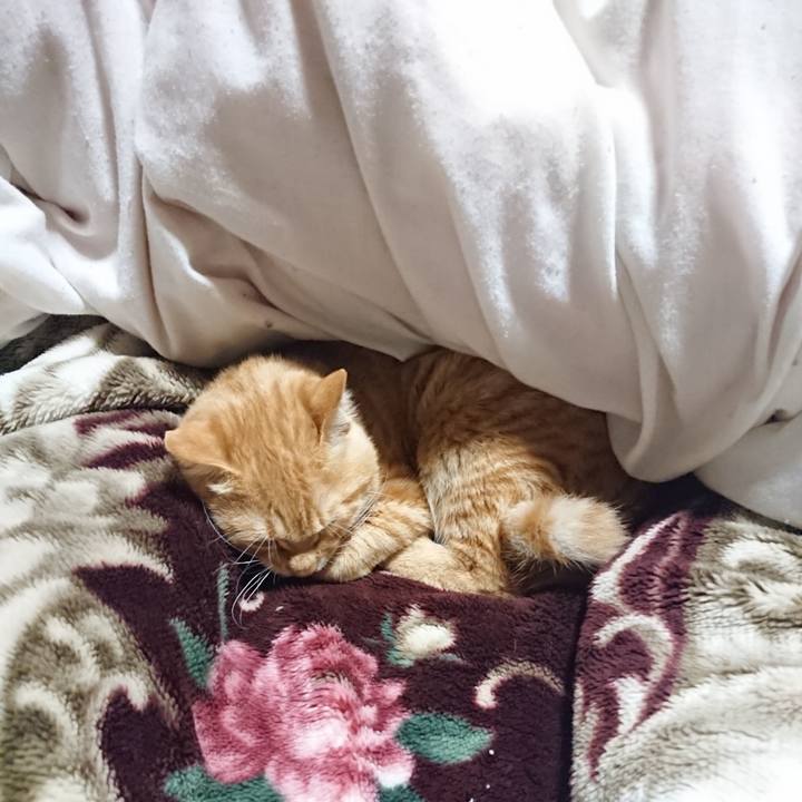 6c41feba 2144 489b 9df8 3b273c8de6cb 1638359599759