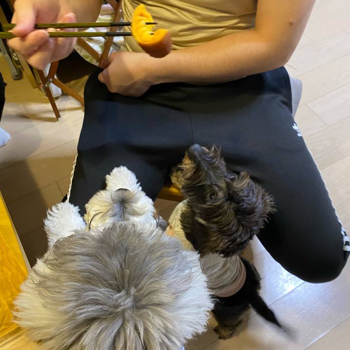 6c420b38 b2ab 453b 9ac0 f2376ac12377 1609517622991