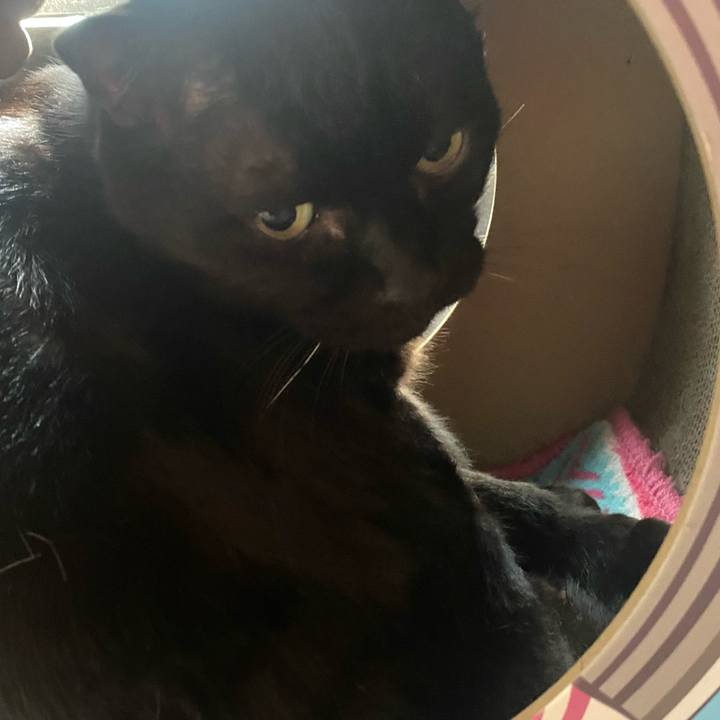 6c421947 243b 49f7 a4cf 2525ef6a0095 1731728825009