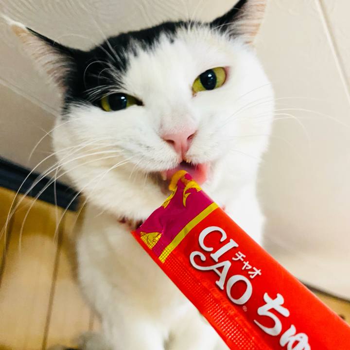 6c421d57 202e 4caf 9923 d601c0080bf4 1739114833334