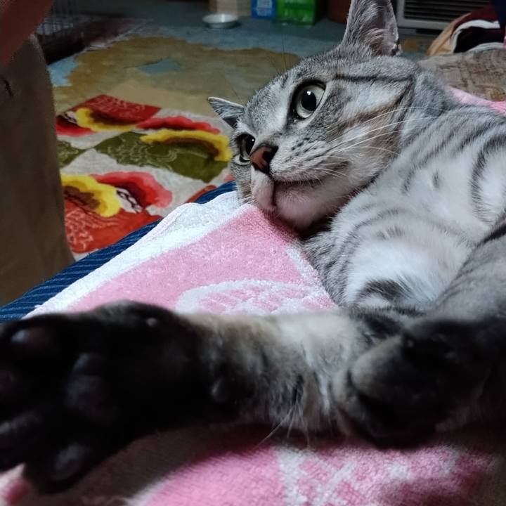 6c421f35 b54d 48da a42d 6329a3103ccf 1658231528096