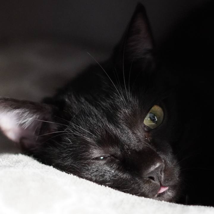 6c422b0f a894 4bd8 a9c6 731fd44dbb5b 1667563798020