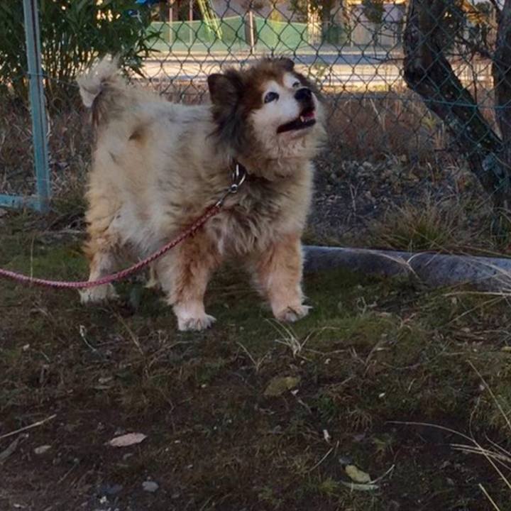 6c423adf de91 4579 bf8e f7b5b9ccda65 1611636009527