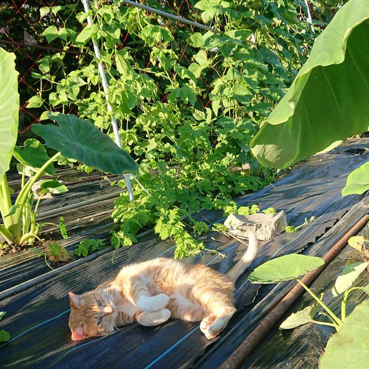 6c423bb8 d587 44ef a0c6 59bc5746f109 1594890471861