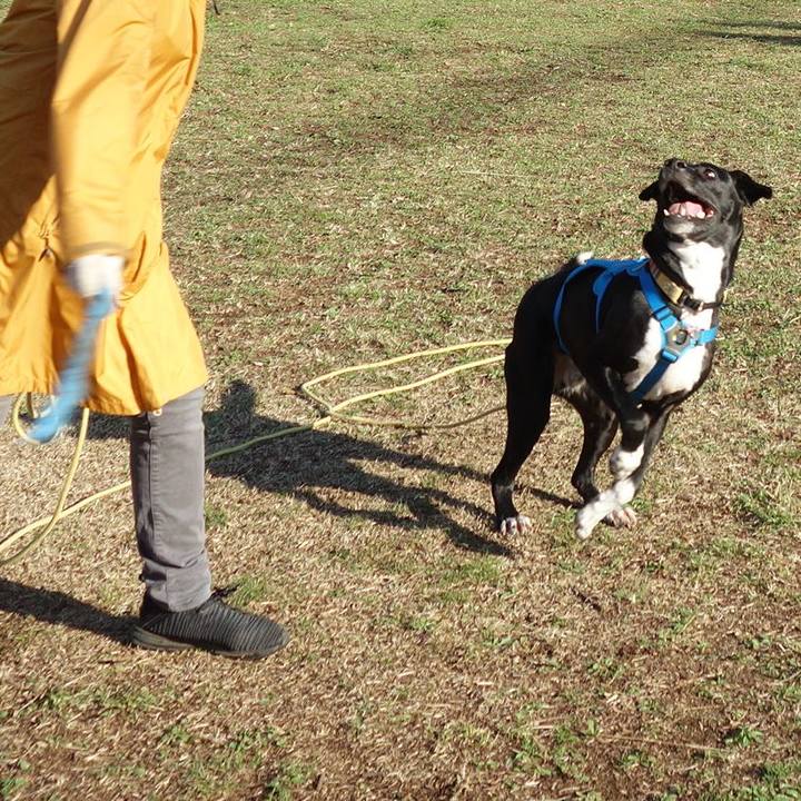 6c425008 ce99 4034 a1cc 244811f438b2 1615765228925