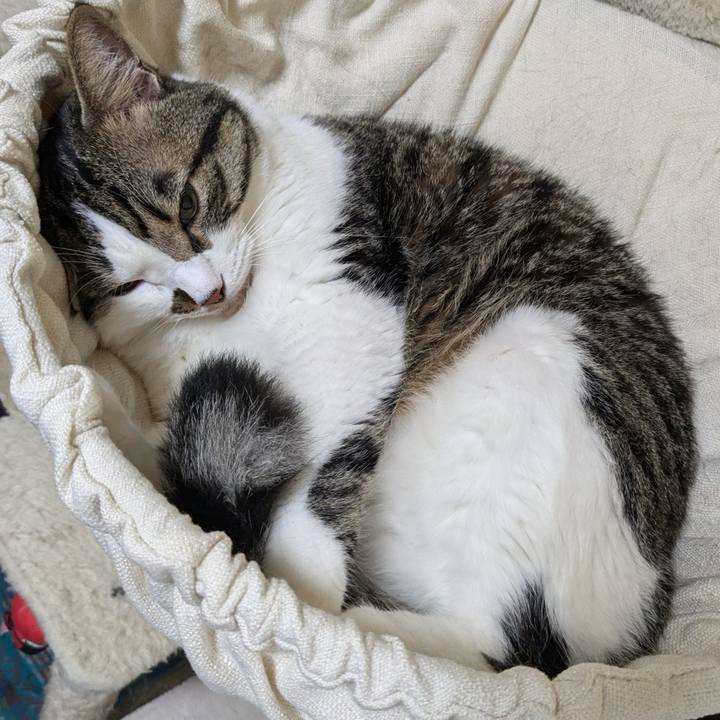 6c42798e 0c54 48fd 8f9b e0ba67708d06 1721015398918