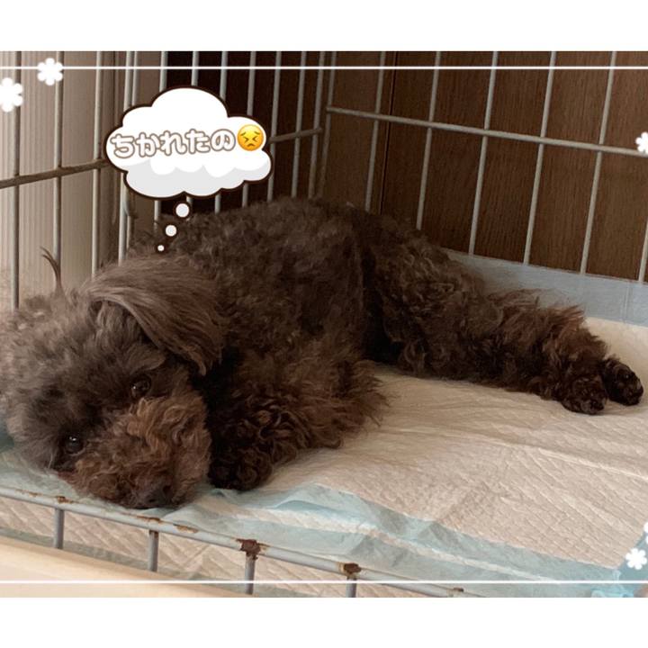 6c429292 ab86 483e 9961 0b88d1a71a1c 1563353129021