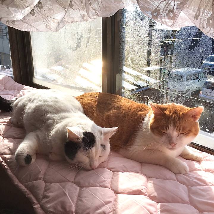 6c42939c 7a47 4491 8902 55fb393d646d 1577082742246