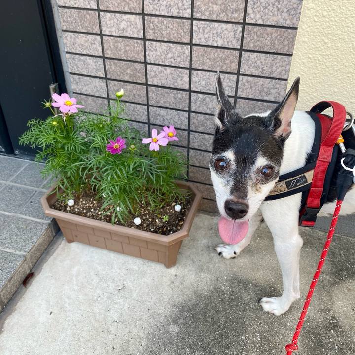 6c42cf11 151a 4e88 8a61 c47f53420cb1 1632397883407