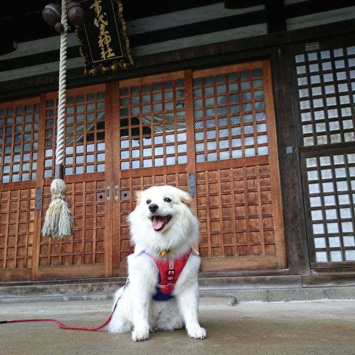 6c42dd37 44fd 48aa a3fc 8b8fff5c84e3 1530596930405