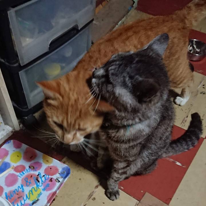 6c42de2f a110 4664 8880 4a1fe3a86837 1599470601716