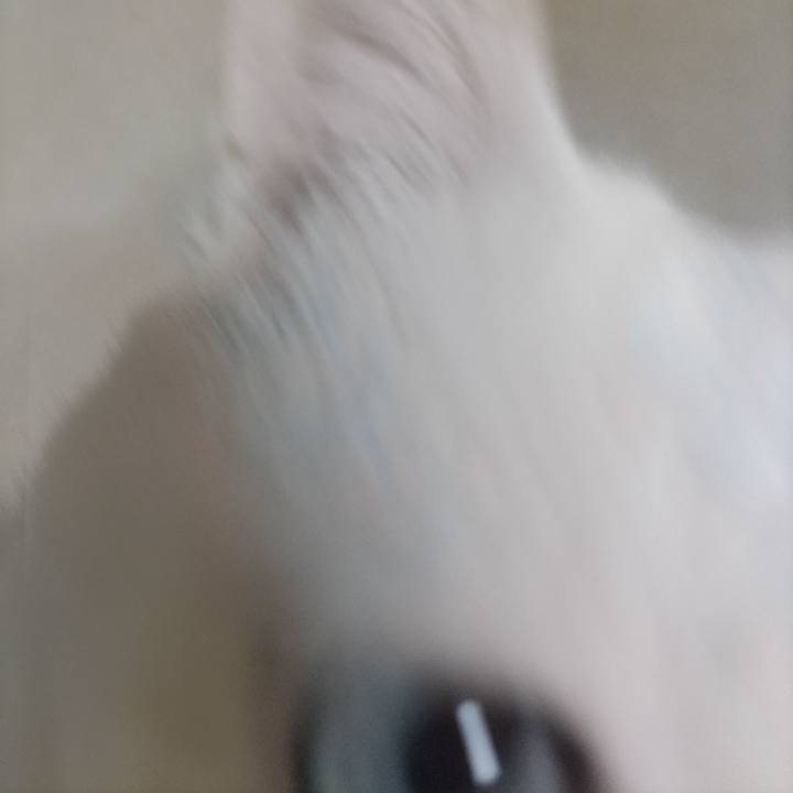 6c42df30 539d 41cd 81f8 a06e428d3593 1739614099861