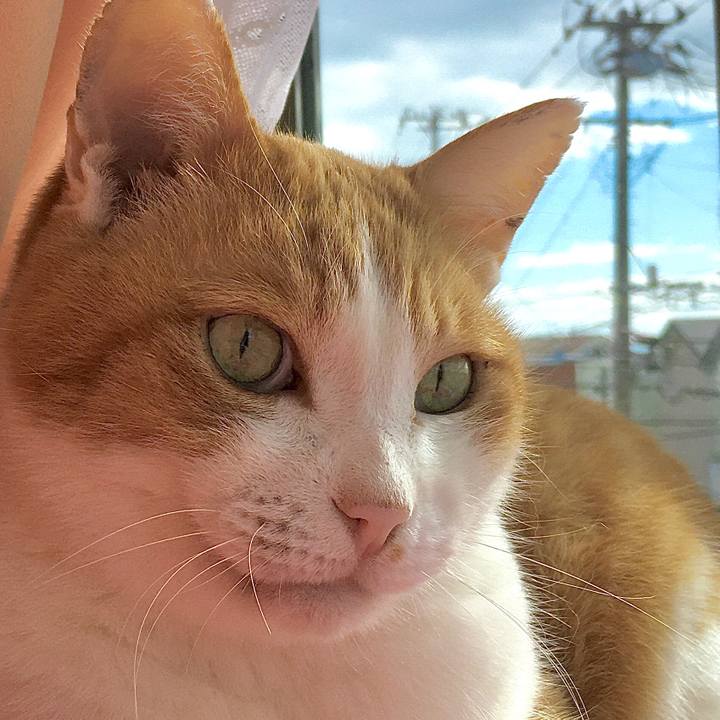 6c433486 62d6 4ffd bb92 e7bfed6382f9 1582537529106