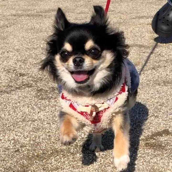 6c435eb2 6f0e 4da8 981e 7c834bfcc72e 1578720263598