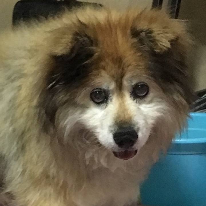 6c439689 a861 4cd4 bbe0 781c487c8ba5 1609028133842