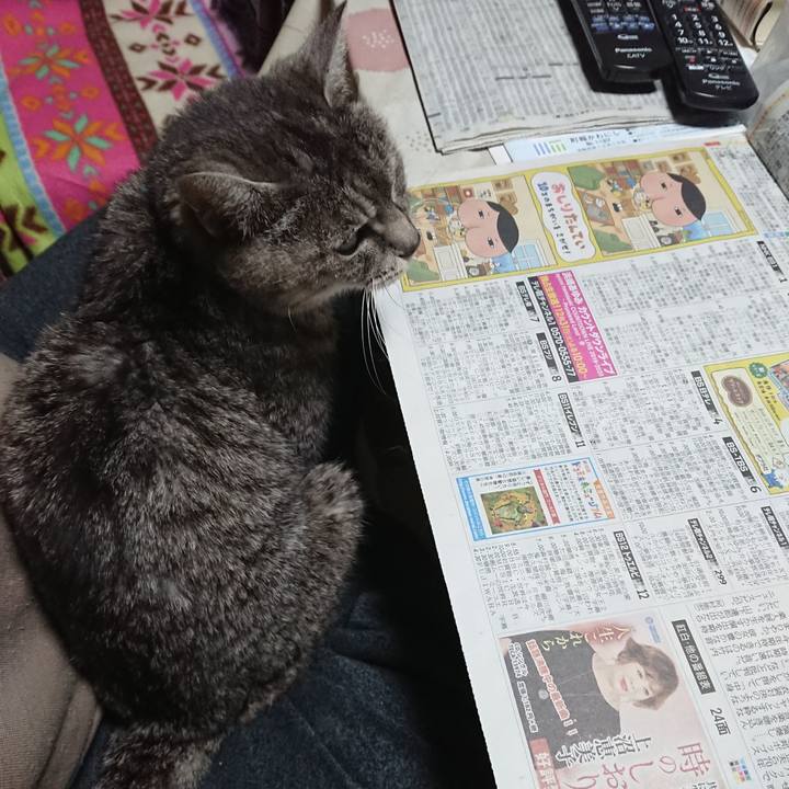 6c439859 c569 48fc 81da 4382655ae081 1577744732437