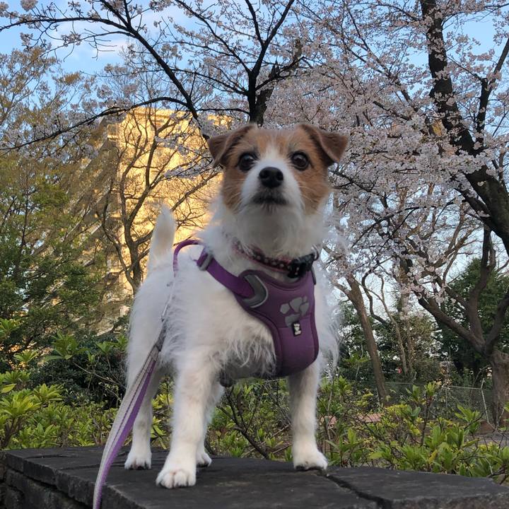 6c43999d c1b1 4ac0 b18c a226f8f860a7 1698409132470