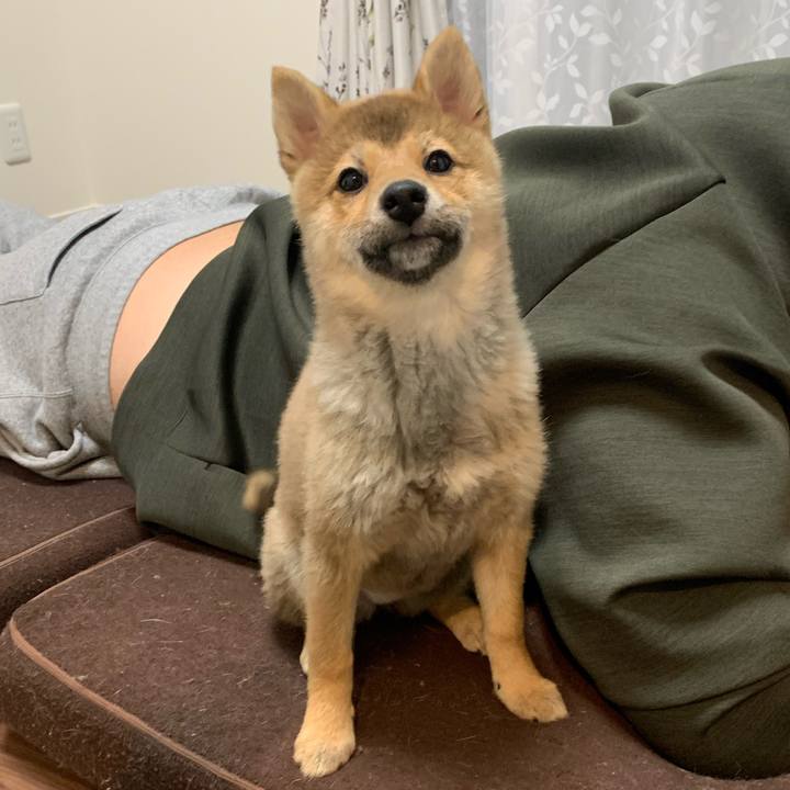 6c43a8c6 705d 451b b76c f34964e8547e 1619351190800