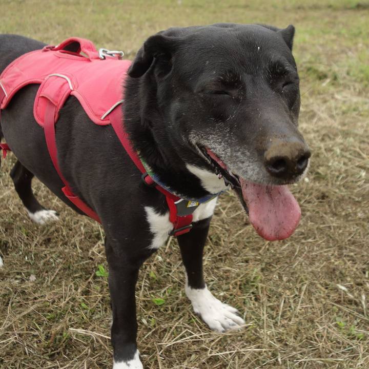 6c43b056 30ef 4e93 8b67 fe51ed37f7ec 1682126833118