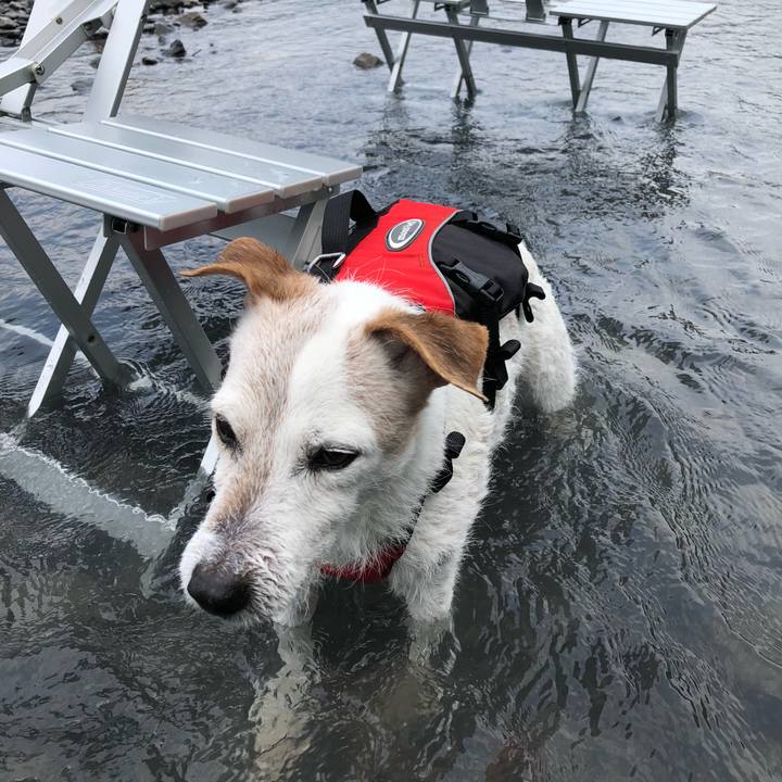 6c43ec58 86ce 4c8e afdd de80e94af953 1531734162286