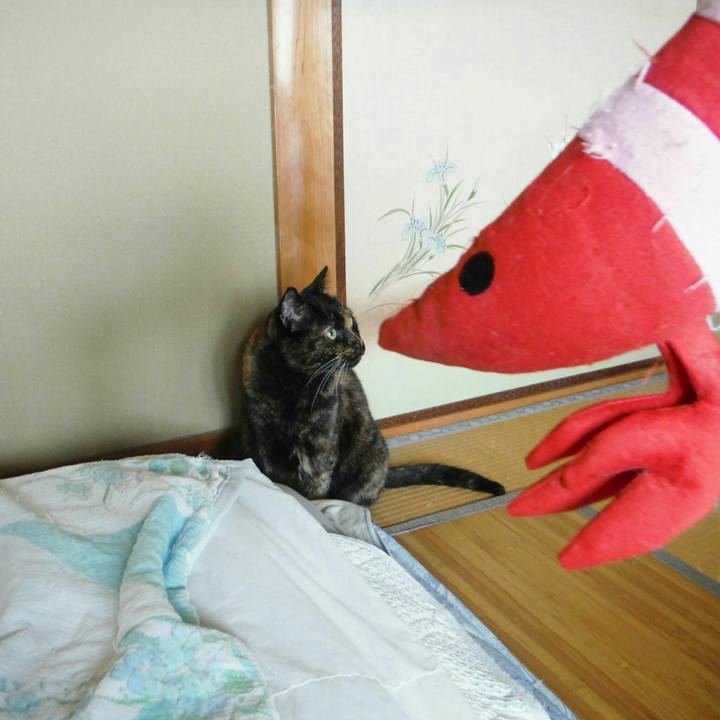 6c444f41 a487 4b17 8542 f322cbaca924 1570771235746