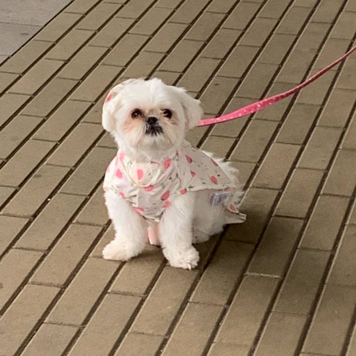 6c447c2f 6b73 49ff ac50 19b49954dfe7 1685711714558