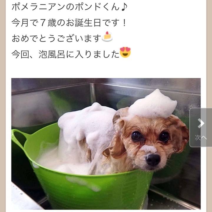 6c44a9c4 7a0d 4e58 82c4 ab92c795e865 1536891135002