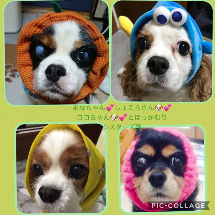 6c44db3f cfc2 435b 8112 dbad116a5019 1532841152459