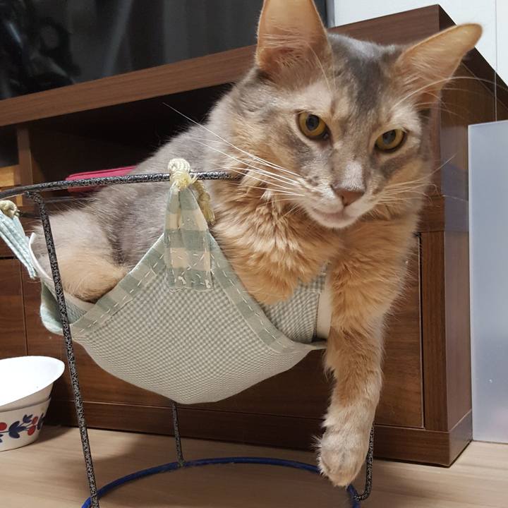 6c455437 9fc3 4f5c b2be dce24caa22c6 1576974105191