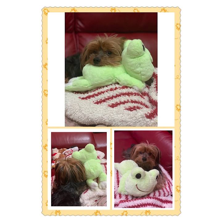 6c455cf7 d480 48c1 9e9f 1d1bc337d670 1549668873754