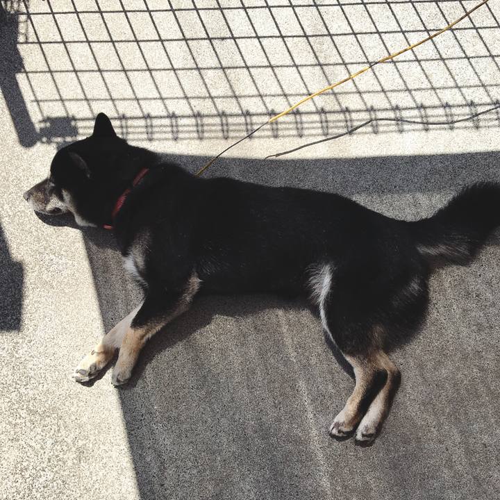 6c456f11 d2d3 429c 94ef 22470805b9e3 1526271734144