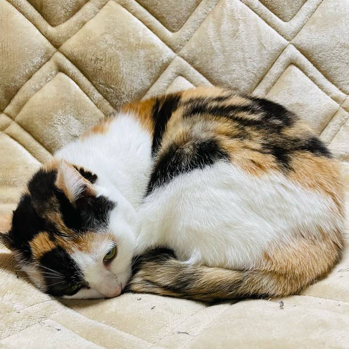 6c457061 683f 437d bbf8 2595ff3ac407 1646360836992