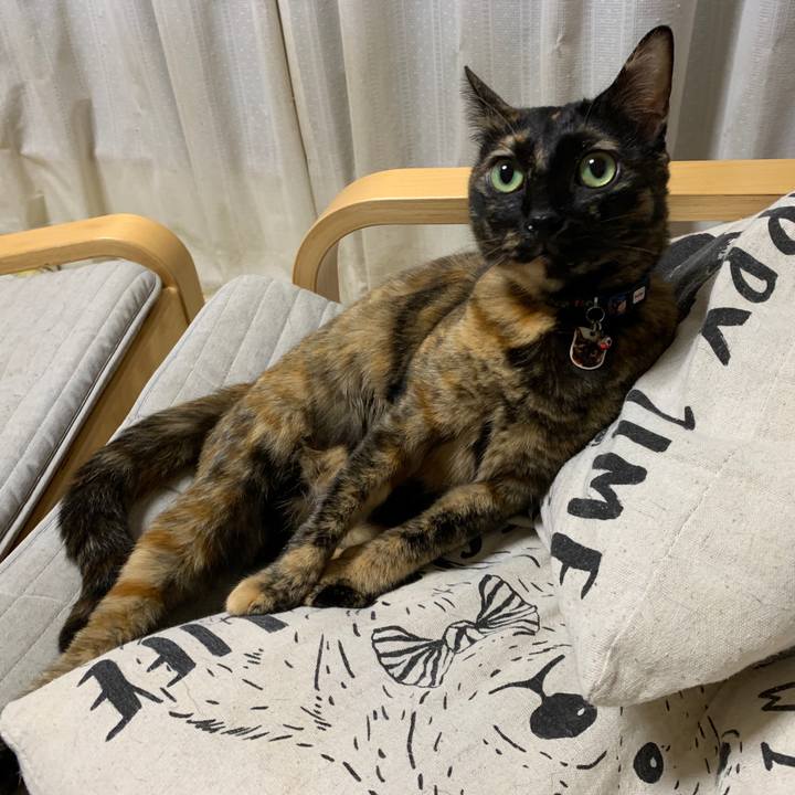 6c45856d 9e27 479b b36d d1bad569db90 1567592350957