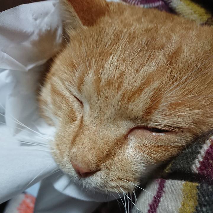 6c45f2c0 8edc 42f2 9f52 31df251da9f4 1574108936083