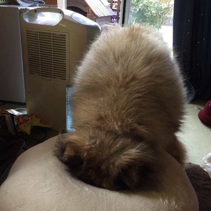 6c45f2fa 3282 4b3b 81b7 b2a8c950662d 1596814845236