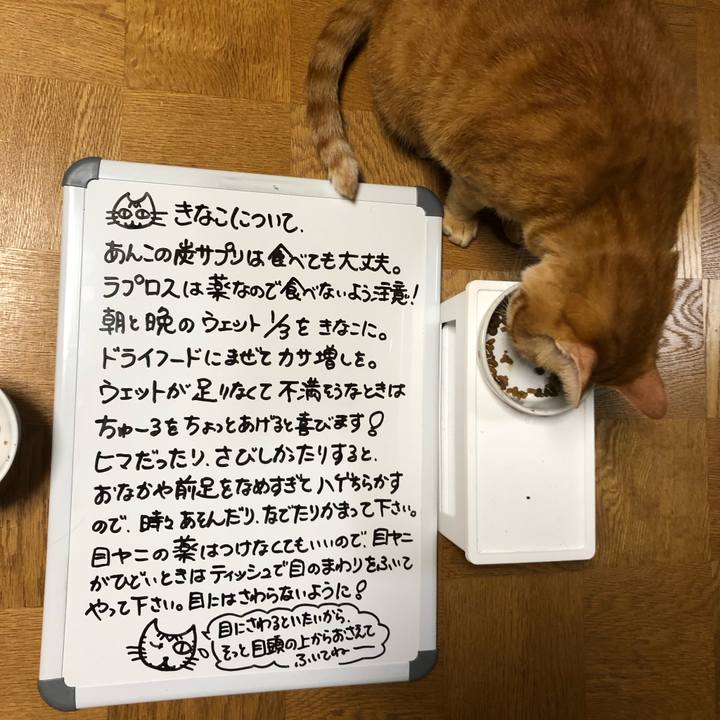 6c4607dc 1505 49cc a13b f0baaa31e1bc 1598966641133