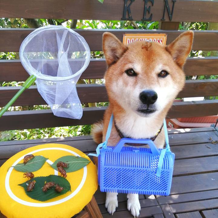 6c460bd9 6a10 4267 8e34 05e3ee4b5c1f 1659401784547