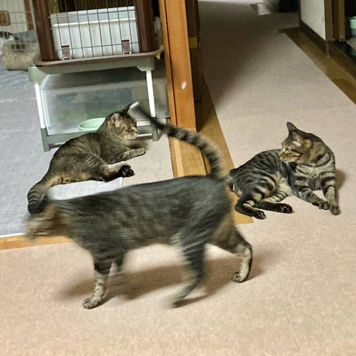 6c463d47 6ee7 4ef6 a332 87fea6c3fd53 1627124423672