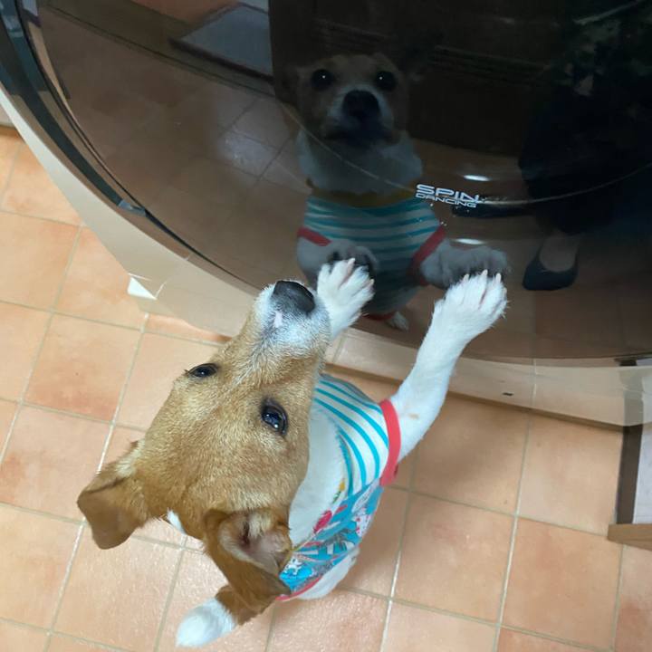 6c4649fc dbd7 4adc 904f 3cdb8d6c7a40 1588728836706