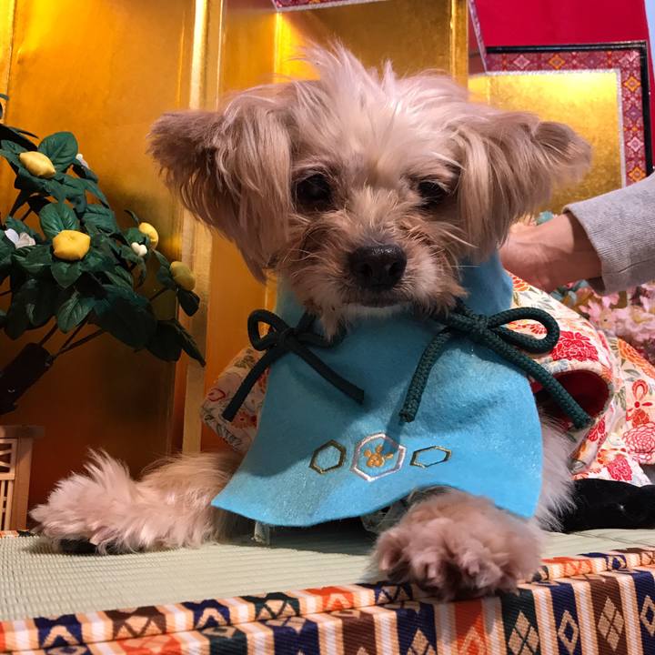 6c469170 f224 47da 9512 24690a527eea 1551619612943