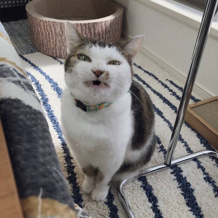 6c469ecd 819a 4735 8586 4bda8b0f16cb 1545113825892