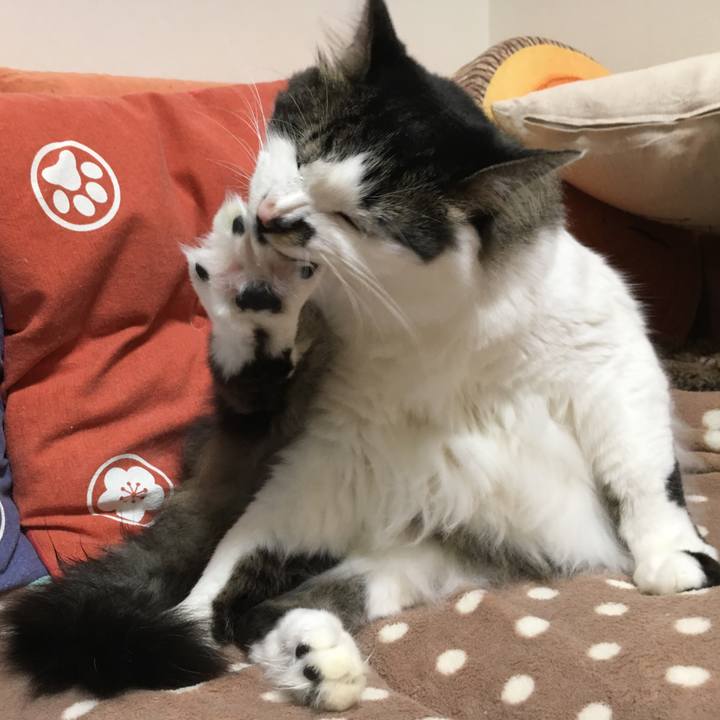 6c46ab7c 48a3 4323 9724 6845f981de64 1555740703129