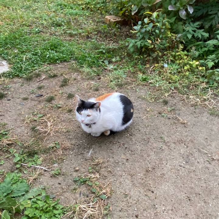 6c46e165 d91d 45d7 9211 72d3656d29cb 1637014871457