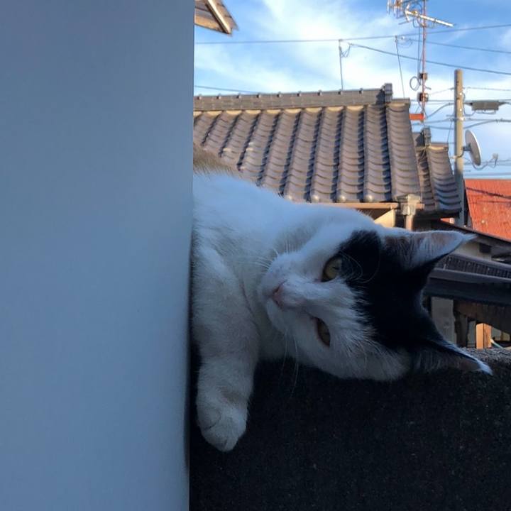 6c471c2a 40ca 4f2a a975 188d2bf991d3 1600592563955