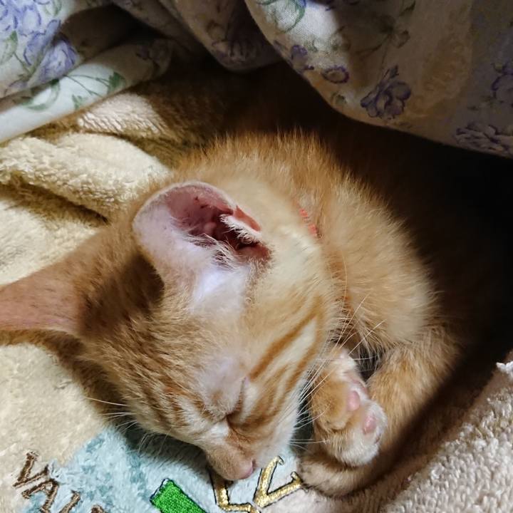 6c47368d b314 4232 a631 ffe9bffb087f 1631622125120