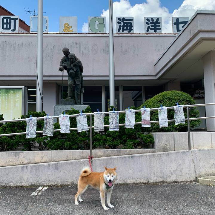 6c47398e 2bce 4fd4 ab42 af835d0d8c70 1654331984352